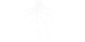logo blanc